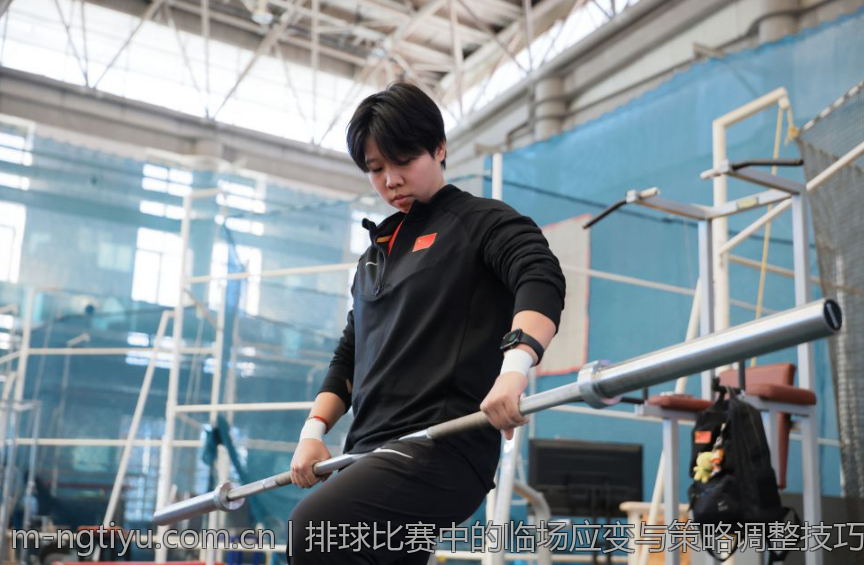 排球比赛中的临场应变与策略调整技巧